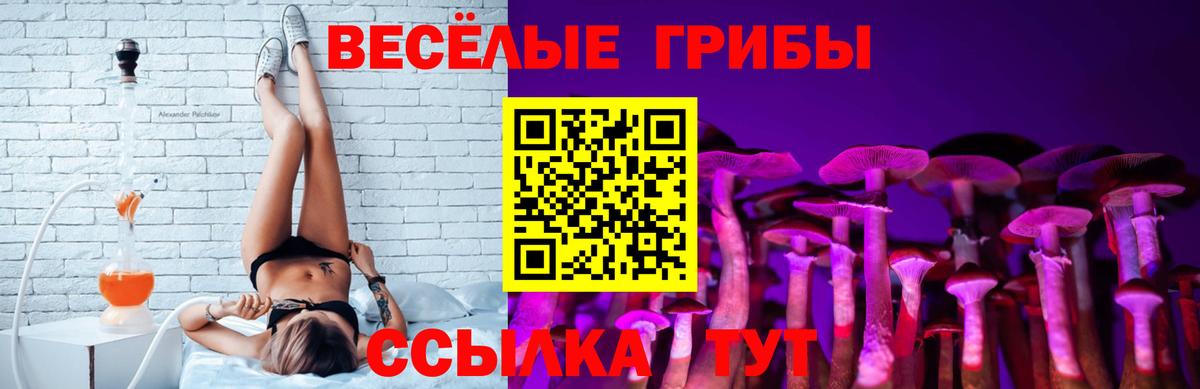 Пушкино  Псилоцибиновые грибы Psilocybine cubensis  Вход с VPN 